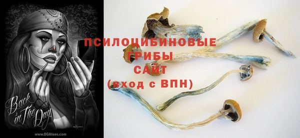 прущий лед Алексин
