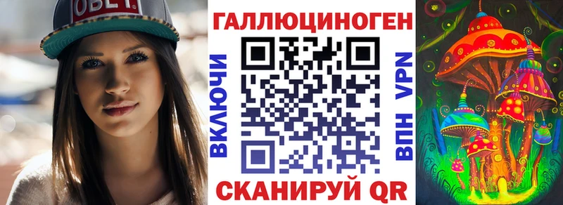 хочу   Константиновск  Галлюциногенные грибы прущие грибы 